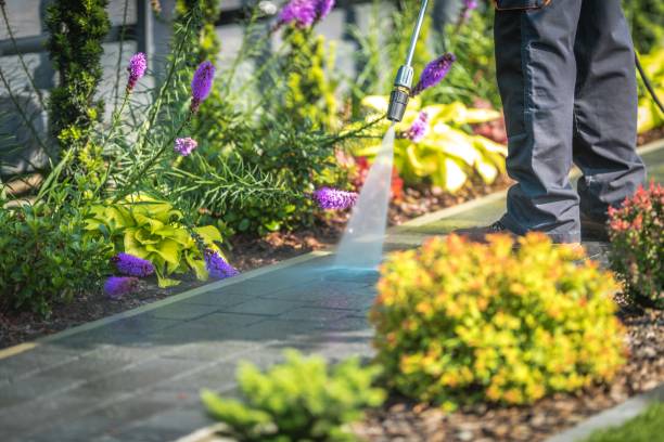 Best Animal Enclosure Cleaning  in Whitfield, FL