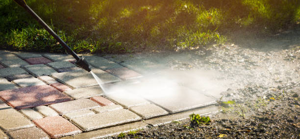 Animal Enclosure Cleaning in Whitfield, FL